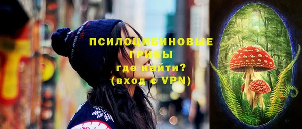 твердый Алзамай