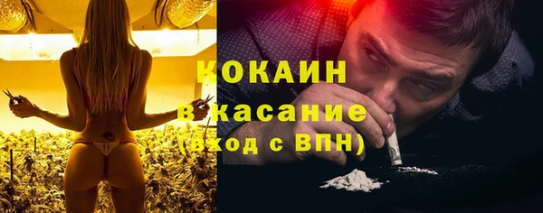 твердый Алзамай