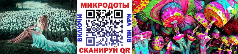 Галлюциногенные грибы мицелий  Новороссийск 